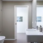 Opo Boa Nova *